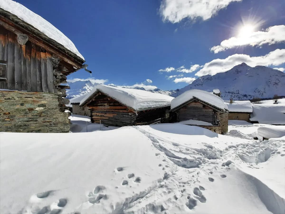 Programme d'hiver 2024/25