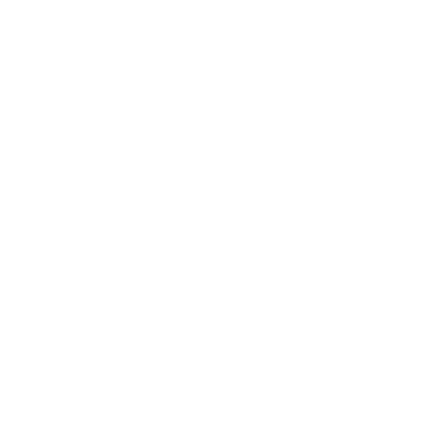 Dynafit